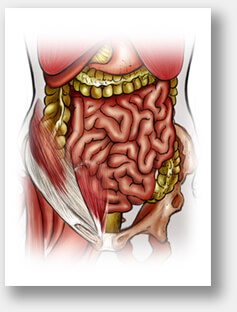 medicina interna