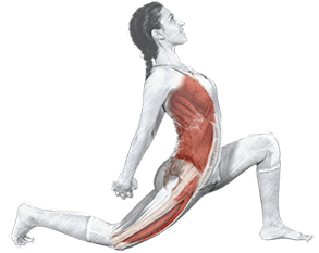 logo yoga terapia