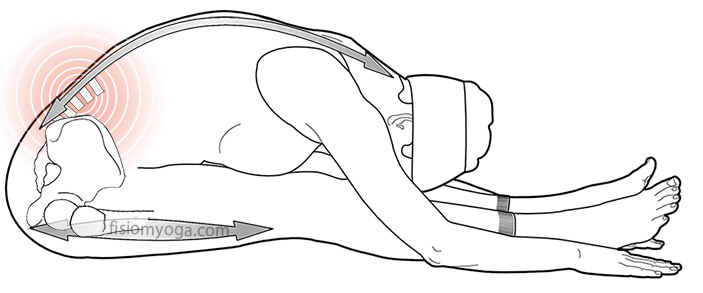 02 columna