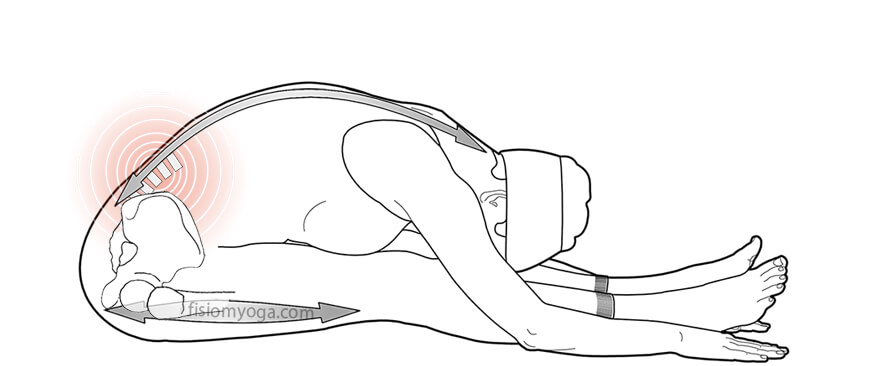 Paschimottanasana Paschimottanasana