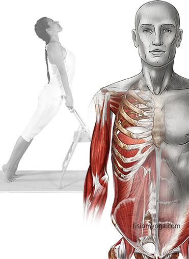 test-yoga-terapeutico-copia yoga terapeutico
