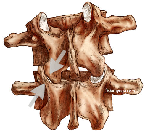 Lumbalgia Lumbalgia