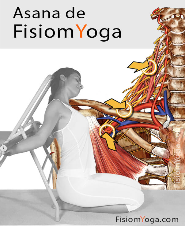 dolor-brazo dolor brazo, dolor hombro