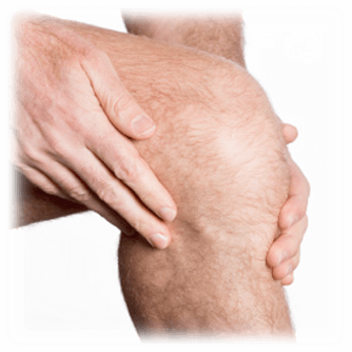 rodilla rodilla