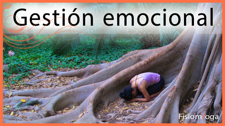 Gestión emocional Gestión emocional
