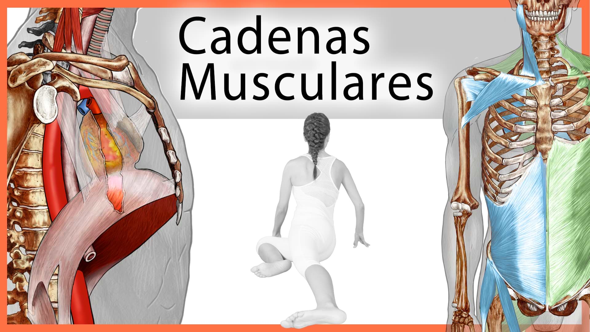 Cadenas Musculares Fisiom Cadenas Musculares Fisiom