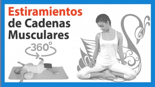 cadenas-5-petit-blau Estiramiento cadena