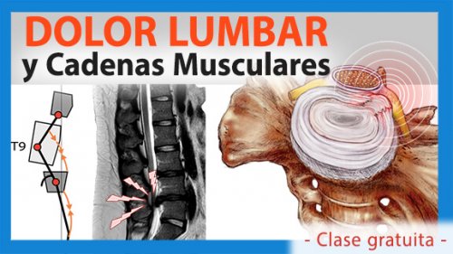 cadenas-6-petit-blau Dolor lumbar y cadenas musculares