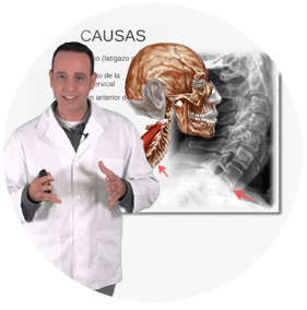 yoga-terapeutico-radiografias-tiny yoga terapéutico - radiografias