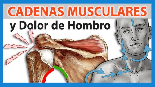 cadenas-7-petit-blau Dolor de hombro