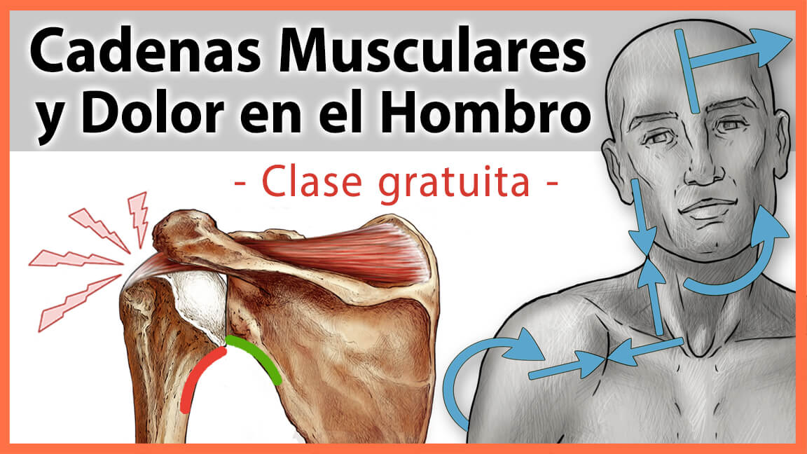¿Cuáles son las causas del Dolor de Hombro? ¿Cuáles son las causas del Dolor de Hombro?