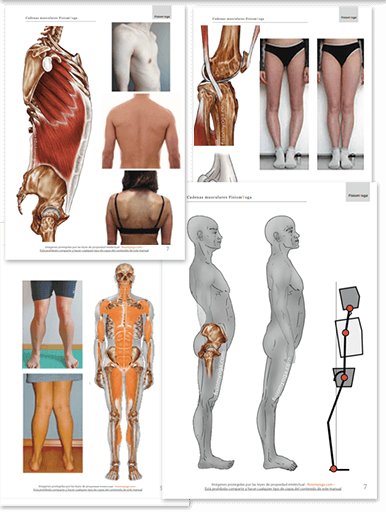 valor-visual-petit-2-oky cadenas musculares practica ejercicios
