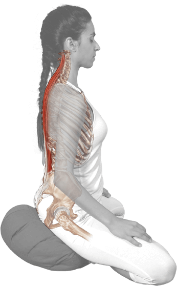 yoga terapeutico sentarse hernia