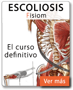 02-cadenas-web-copia 02-cadenas-web-copia