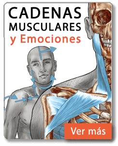 02-cadenas-web 02-cadenas-web