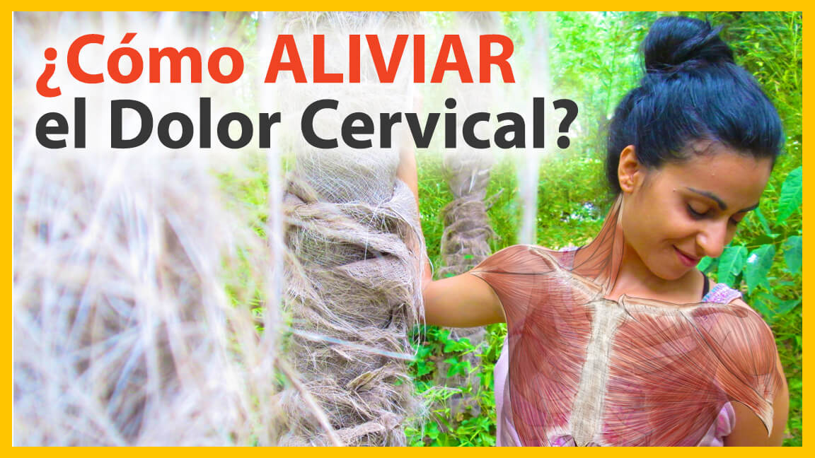 ¿Qué hacer para aliviar el dolor de cervicales? ¿Qué hacer para aliviar el dolor de cervicales?