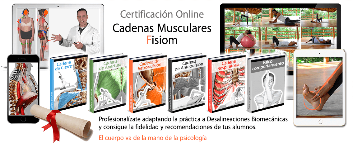 cadenas.psdpetit-tiny-1 curso cadenas musculares