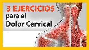 ejercicios para la cervicalgia