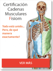 Certificación Cadenas Musculares