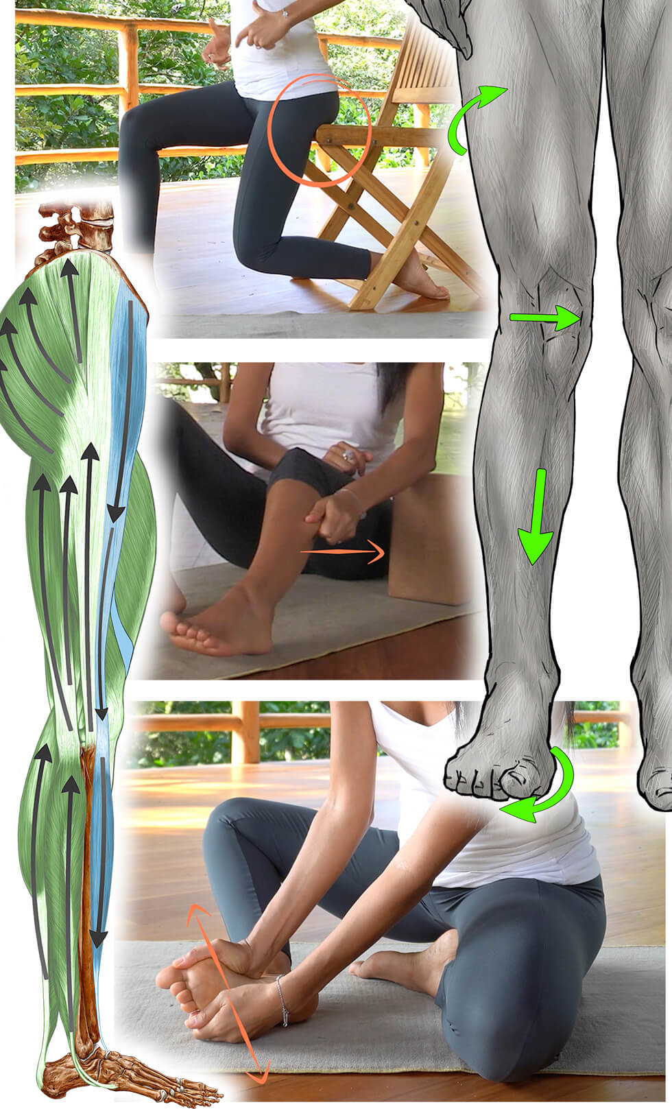 reequilibracion-cadenas-musculares-petit Reequilibración cadenas musculares