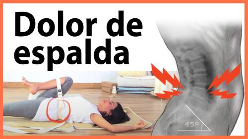 EJERCICIOS para el Dolor de Espalda EJERCICIOS para el Dolor de Espalda
