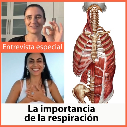 La respiración, ¿cómo saber si es adecuada? La respiración, ¿cómo saber si es adecuada?