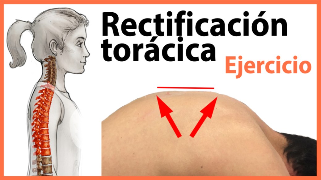 Ejercicio para Rectificación Torácica Ejercicio para Rectificación Torácica