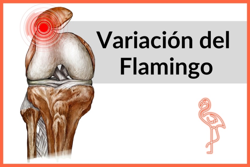 Nuevo Ejercicio: Variación del Flamingo Nuevo Ejercicio: Variación del Flamingo