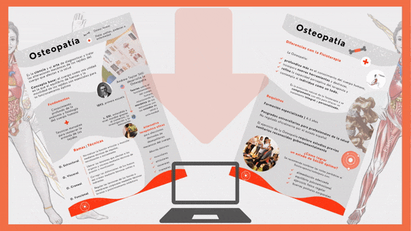Descarga una infografía sobre las claves de la osteopatía