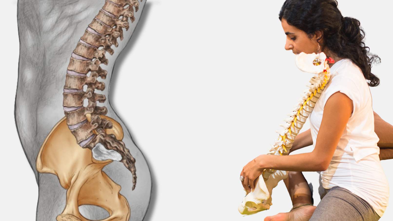 Ejercicios eficaces para abordar la Hiperlordosis Ejercicios eficaces para abordar la Hiperlordosis