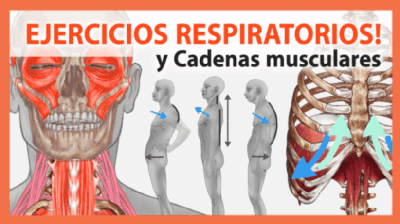 Ejercicios Respiratorios Ejercicios Respiratorios