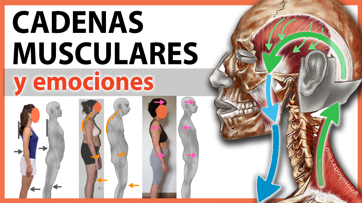 ¿Sufres de dolor lumbar o de rodillas? ¿Sufres de dolor lumbar o de rodillas?